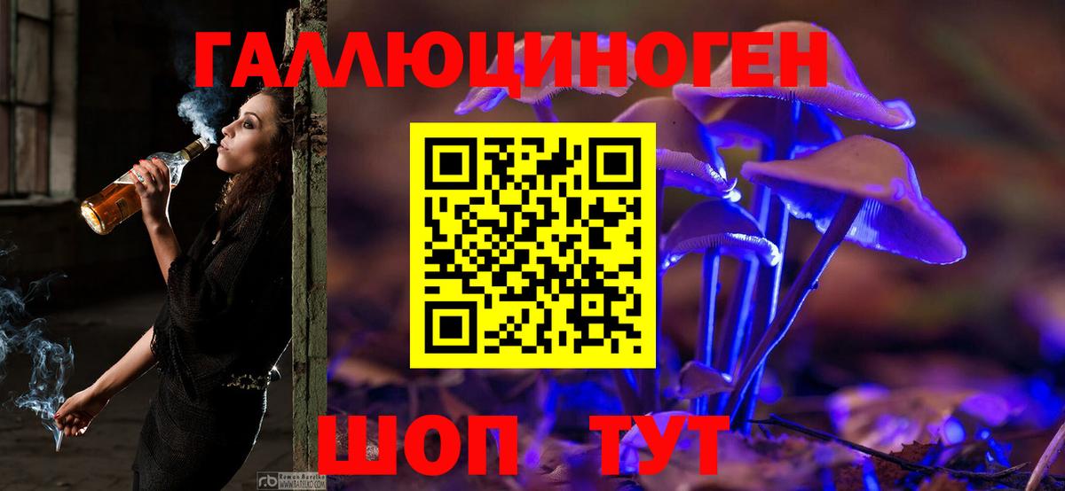Псилоцибиновые грибы MAGIC MUSHROOMS  Вход с VPN  Ростов-на-Дону 