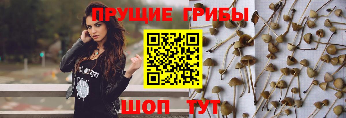 Псилоцибиновые грибы ЛСД Ростов-на-Дону