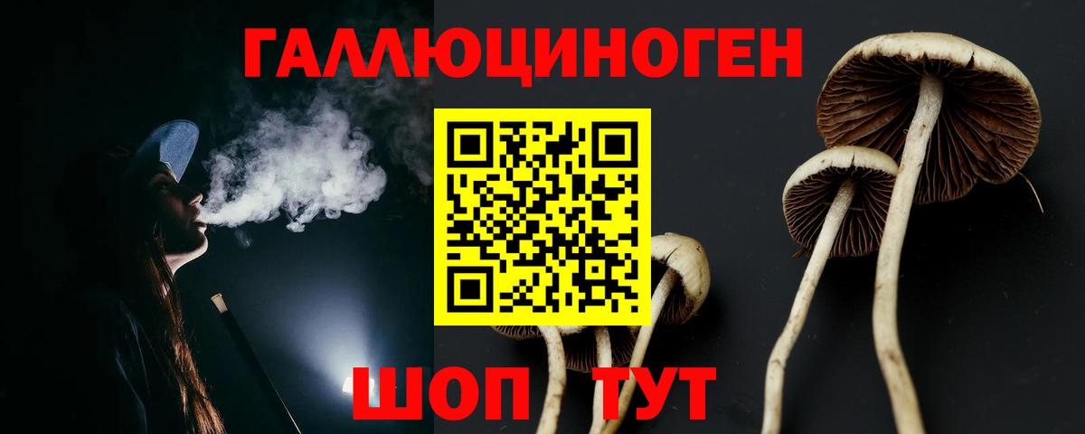 Галлюциногенные грибы Cubensis  Ростов-на-Дону 