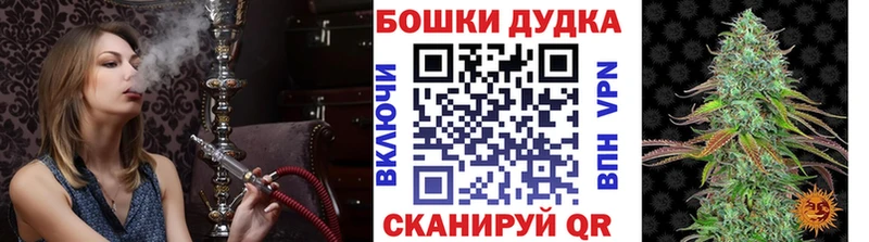 купить   Ростов-на-Дону  блэк спрут зеркало  Канабис план 